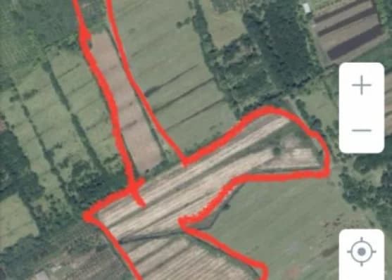Urgently For sale 6 hectares land plot in Zugdidi