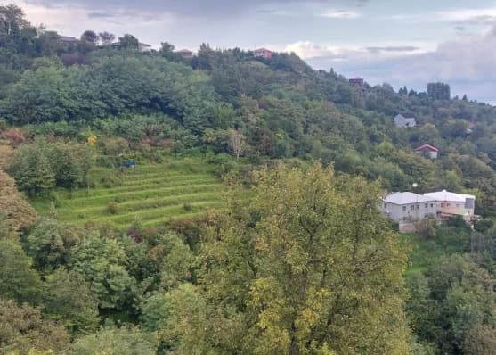 Urgently For sale 2138 m² land plot in Khelvachauri