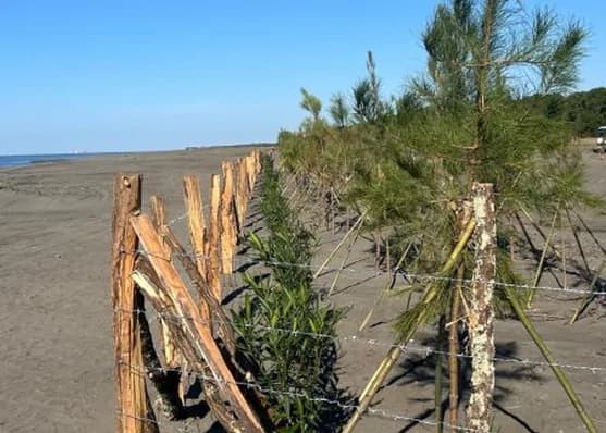 Urgently For sale 1050 m² land plot in Lanchkhuti