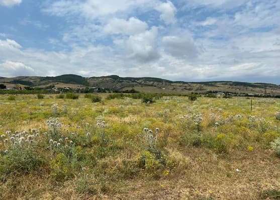 Urgently For sale 14 hectares land plot in Mukhrani