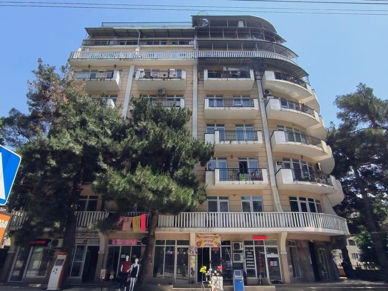 Angia Bochorishvili St, 53