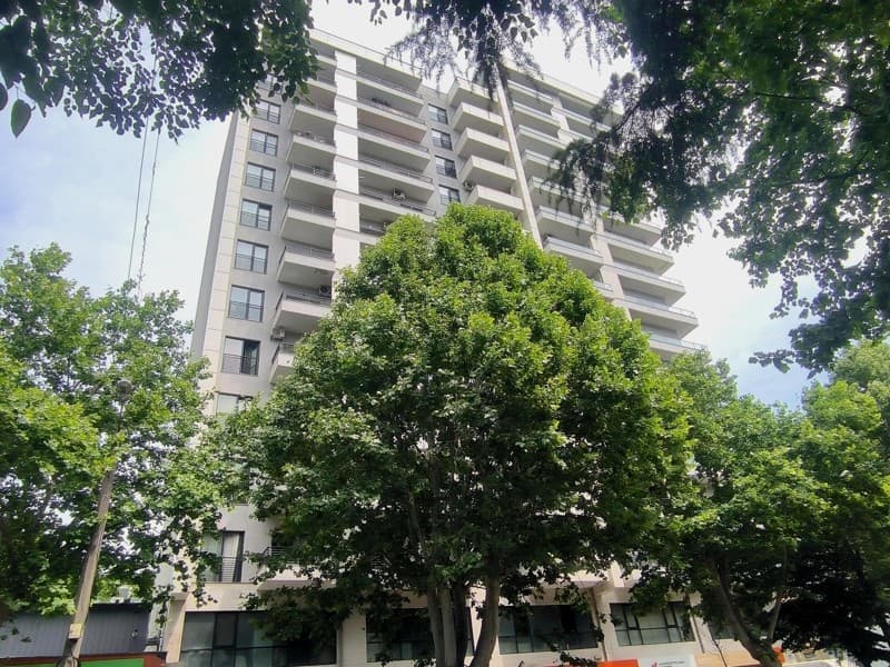 Tsotne Dadiani St, 111