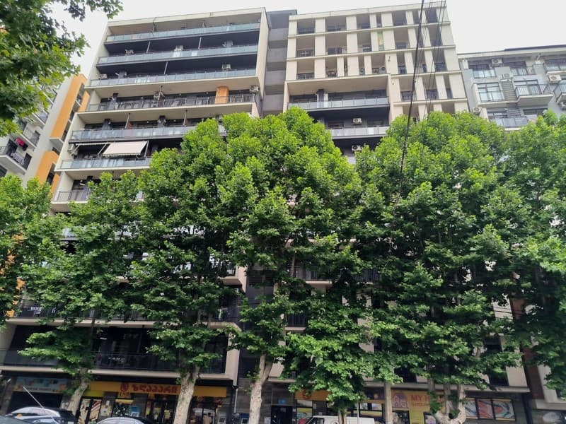 Tsotne Dadiani St, 203