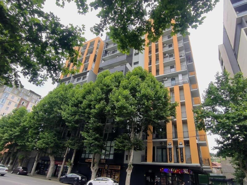 Tsotne Dadiani St, 207