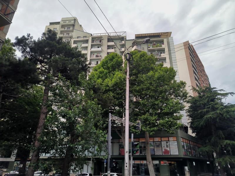 Tornike Eristavi St, 66