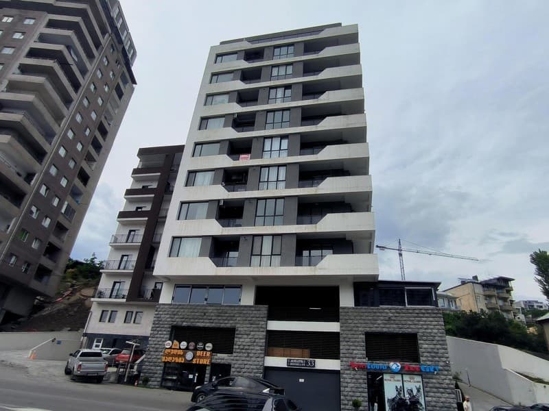 Elguja Amashukeli St, 33
