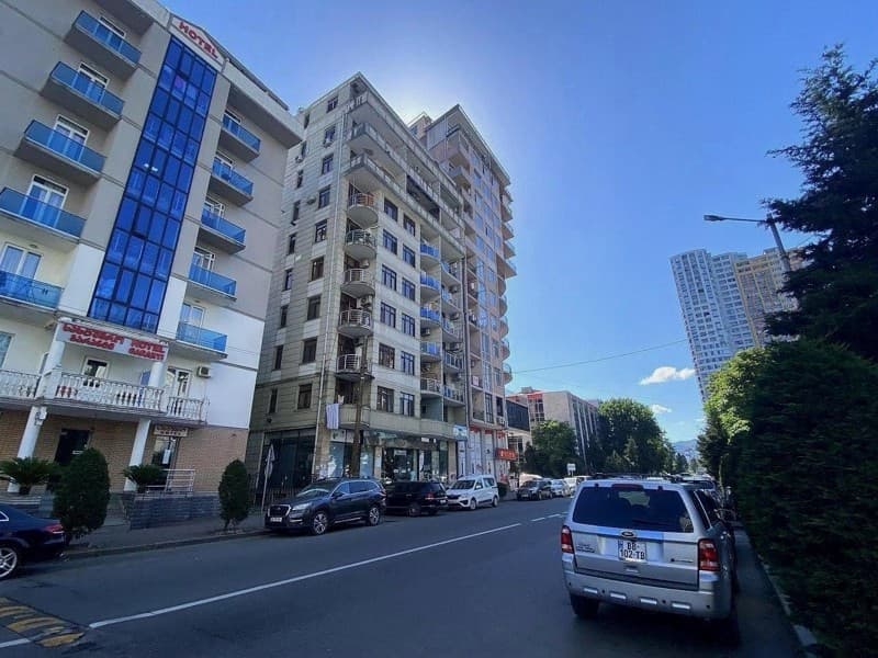 Ivane Javakhishvili St, 3a | Vakhtang Gorgasali St, 162 thumbnail 4