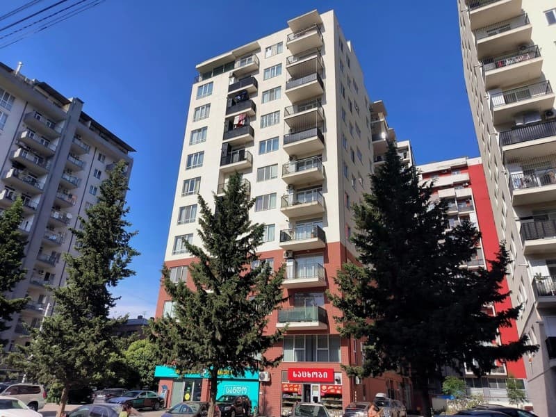 Rapiel Agladze St, 79 thumbnail 2