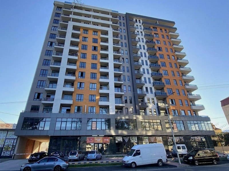 Fridon Khalvashi Ave, 101