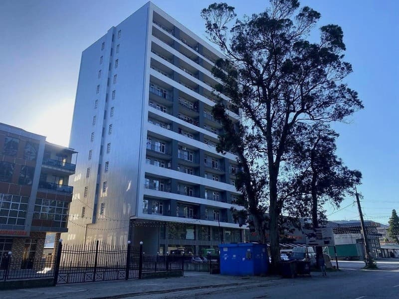 Fridon Khalvashi Ave, 239b