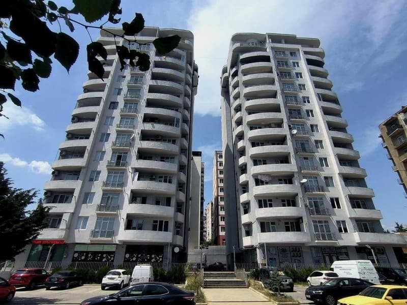 Twins Vasisubani