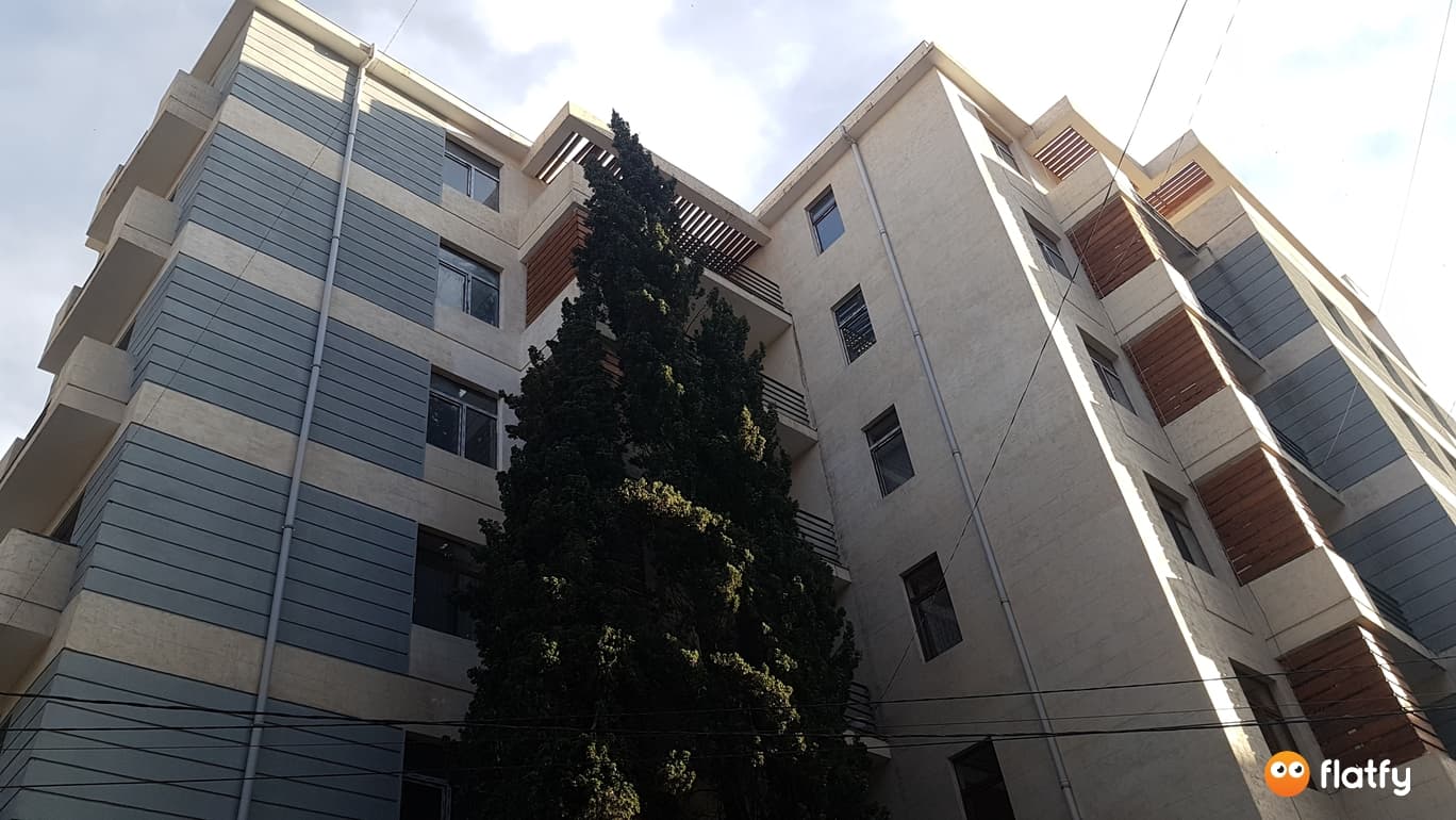 Dimitri Araqishvili St, 18 thumbnail 3