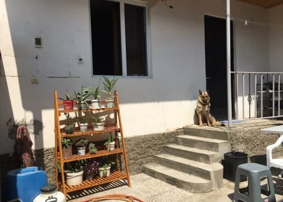 Urgently For sale 4-room house in Nadzaladevi, in Tbilisi