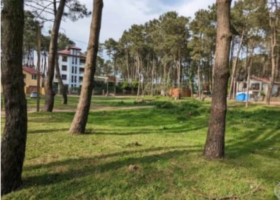 For sale 1010 m² land plot in Shekvetili