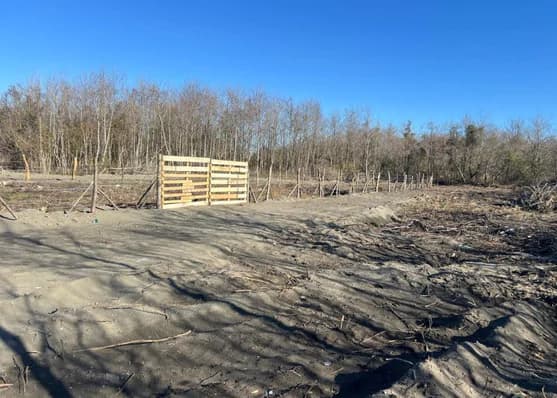 Urgently For sale 500 m² land plot in Lanchkhuti