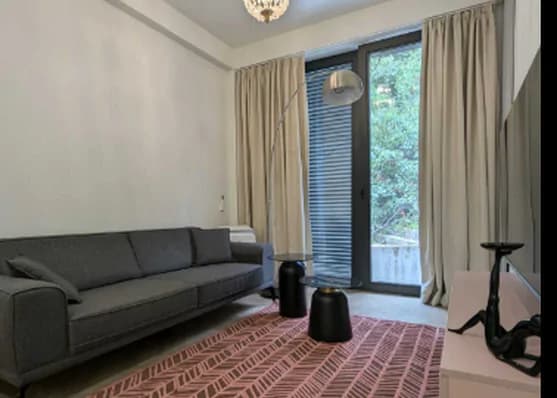 Urgently For rent 2-room apartment on Mtatsminda, in Tbilisi