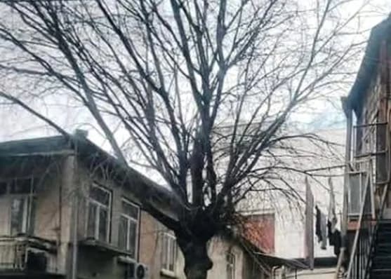 Urgently For sale 2-room apartment on Mtatsminda, in Tbilisi