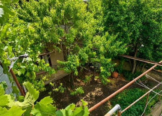 FOR SALE, Apartments, 3 rooms, Tbilisi, Gldani-Nadzaladevi, Nadzaladevi, urgently