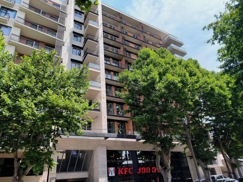 Tsotne Dadiani St, 47