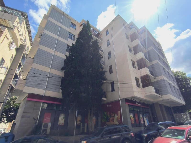 Dimitri Araqishvili St, 18